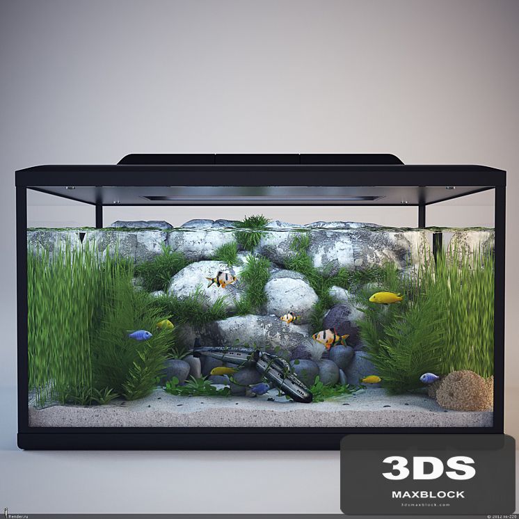 Aquarium