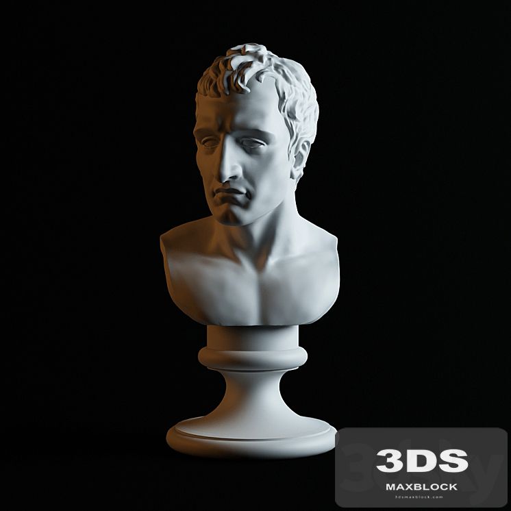 Bust of Napoleon