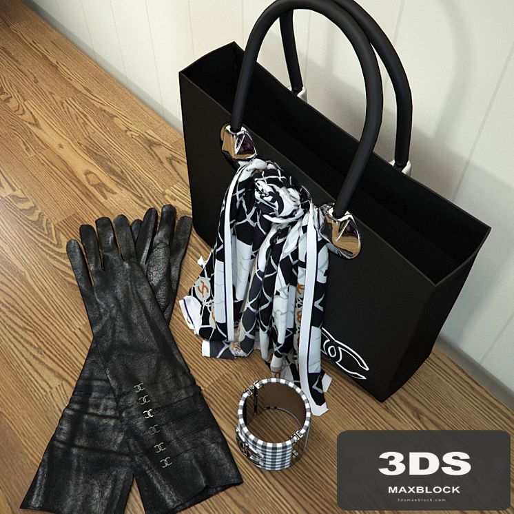 Chanel Bags and Accessories