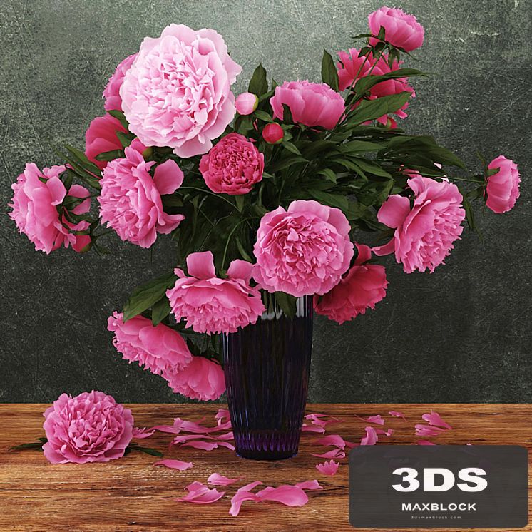 Peonies
