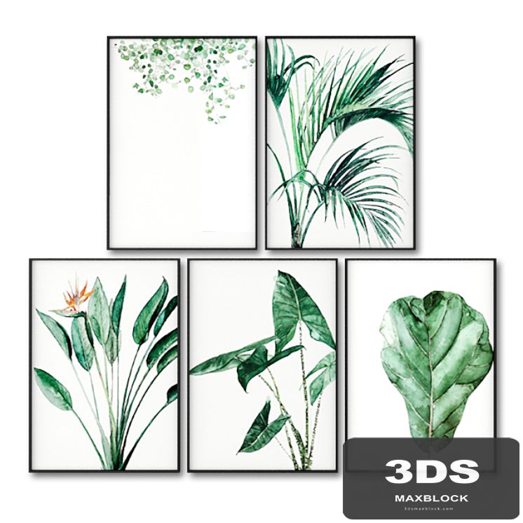 Posters with leaves of tropical plants.