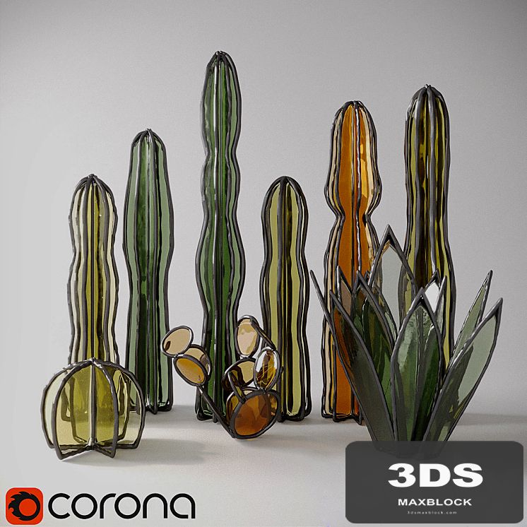 Glass cacti and succulents