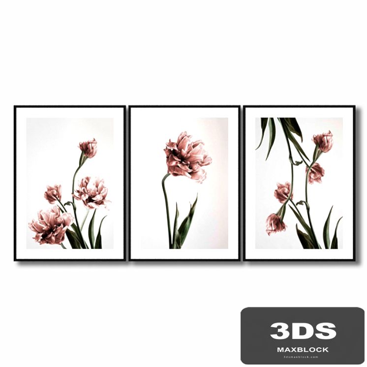 Posters with pink tulips.