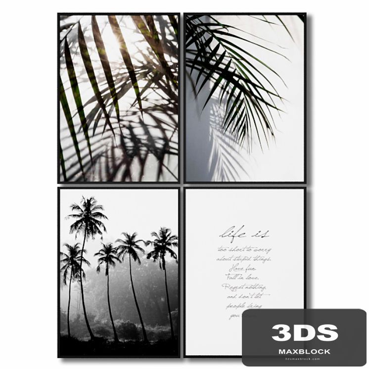 A set of posters with leaves and palm trees.