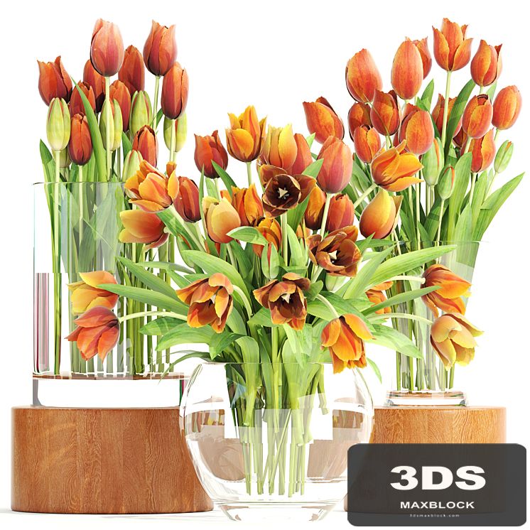 Set of spring bouquets 3. Tulips, flower, orange, vase, spring flowers