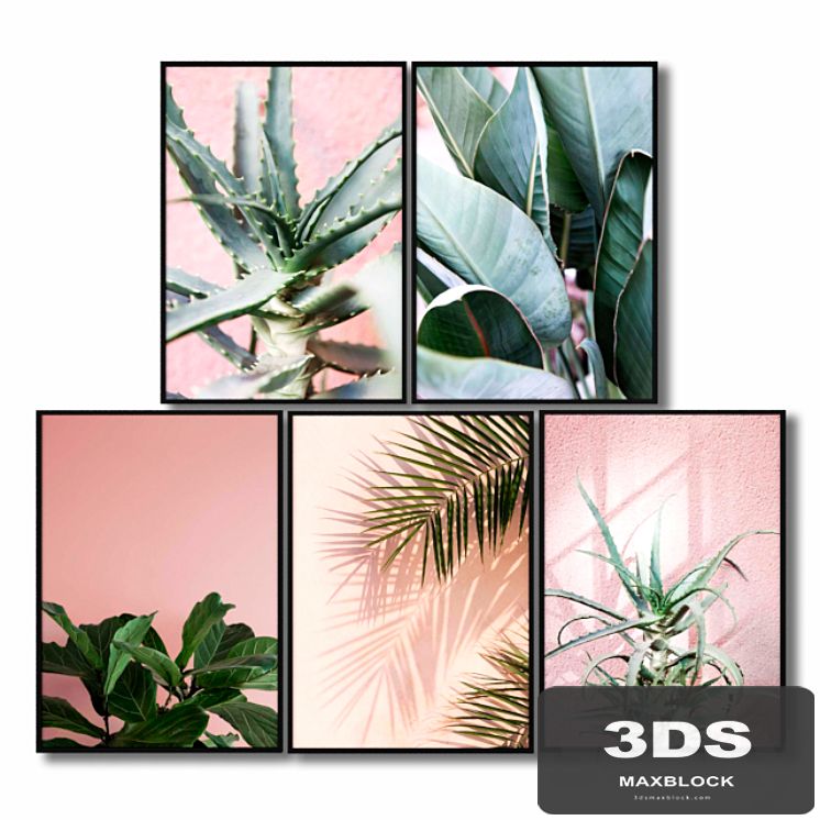 Posters with pink plants.