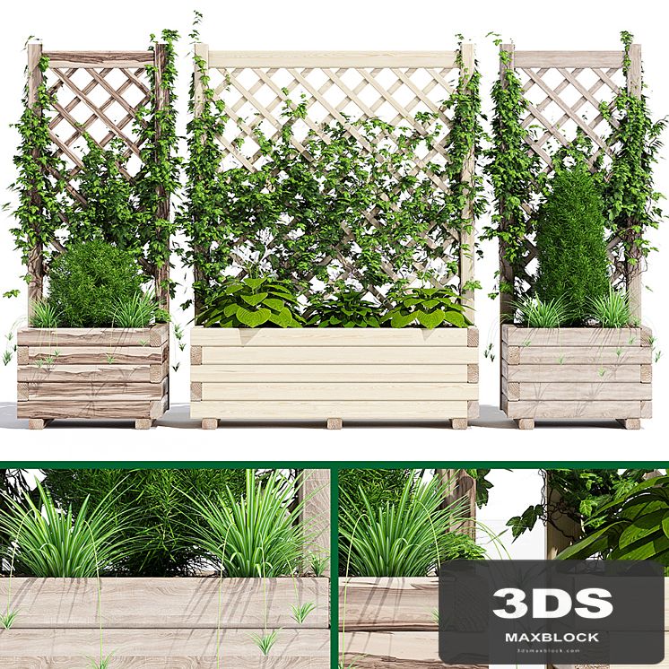 Planter with lattice