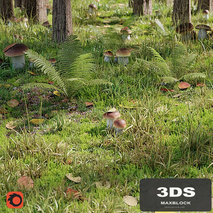 Forestry set