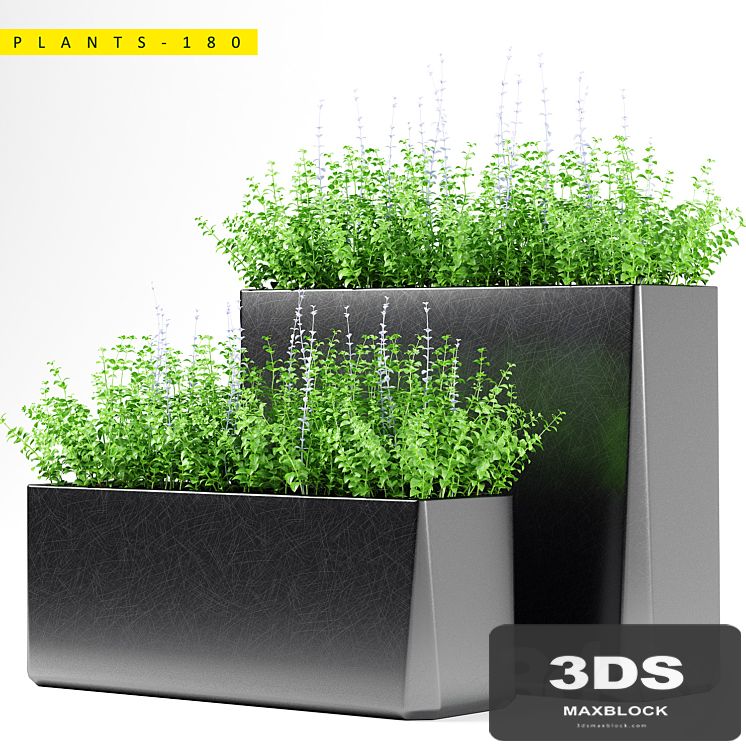 PLANTS 180