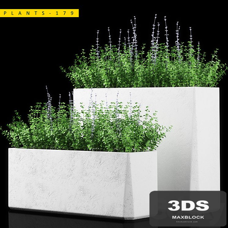 PLANTS 179
