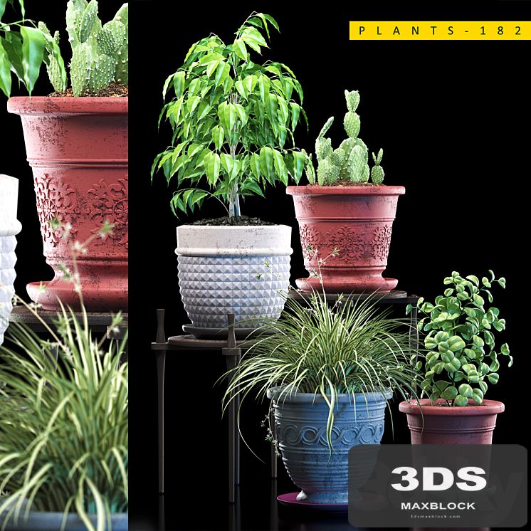 PLANTS 182