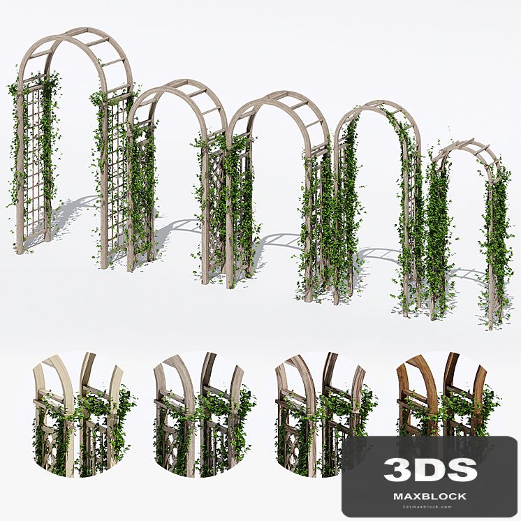 Garden arches three