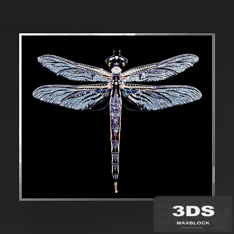 IPE CAVALLI VISIONNAIRE Lybra