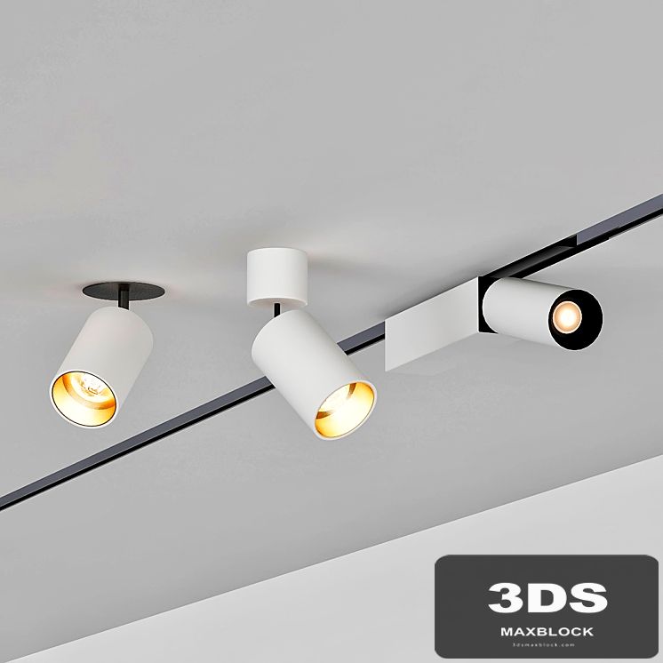 Ceiling Lamps CENTRSVET_3