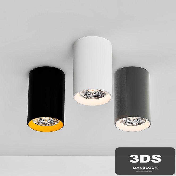 Ceiling Lamps CENTRSVET_13