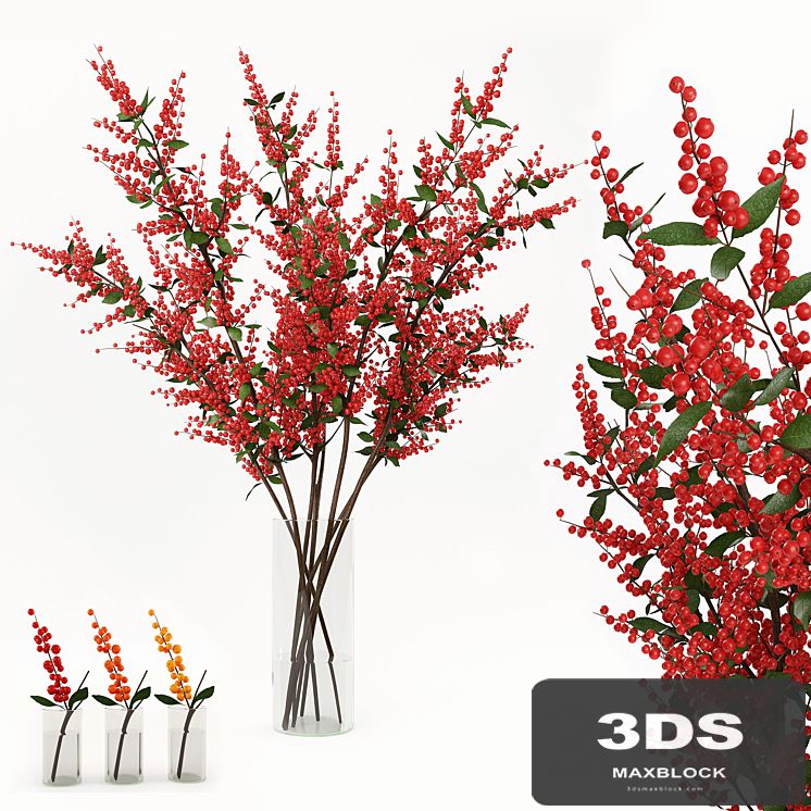 Branches in the vase 004