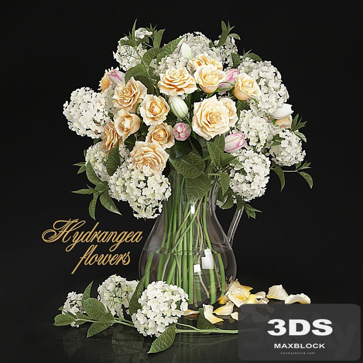 Hydrangea flowers