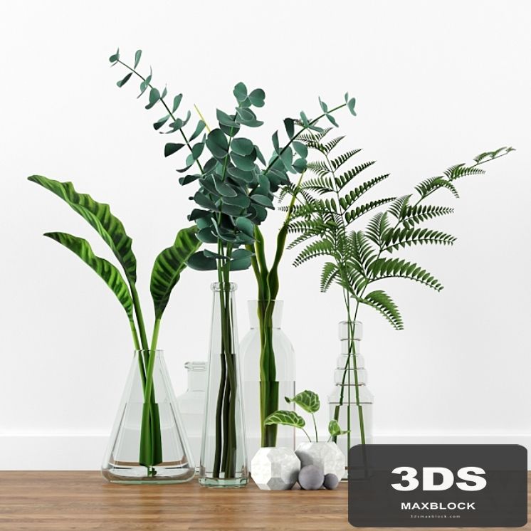 Plants tree indoor 2