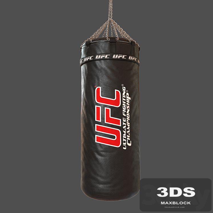 UFC Boxing Bag