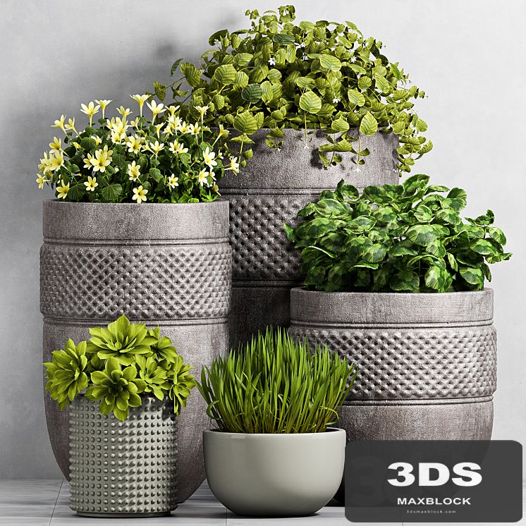 PLANT SET -96