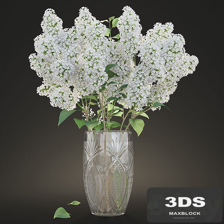 White lilac in a crystal vase / White Lilac in a crystal Vase
