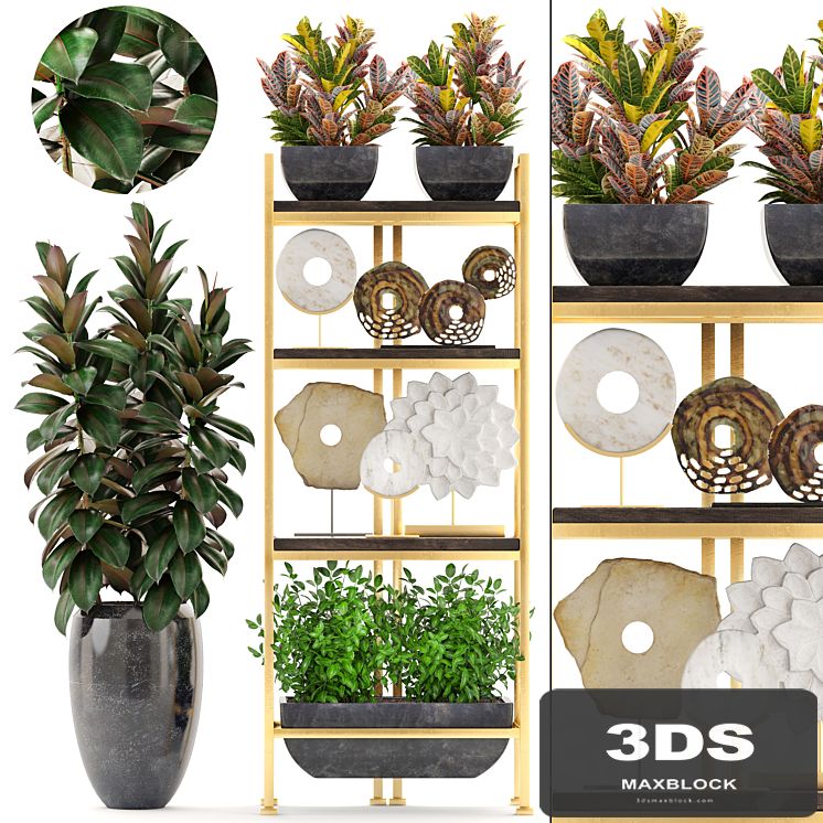 Decorative set. 5. Shelf, decor, discs, figurine, Ficus, flowerpot, croton, shelf with flowers, luxury