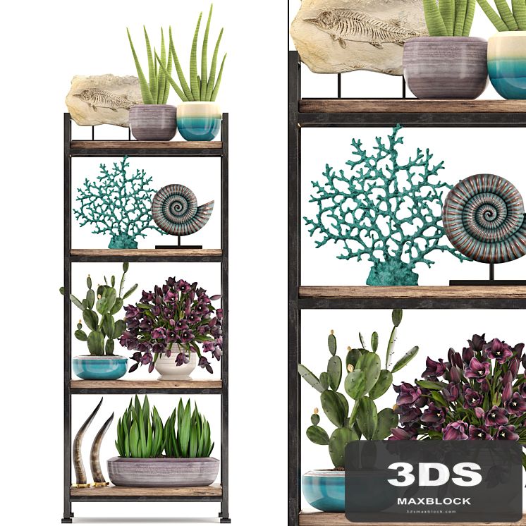 Decorative set. 7th. Shelf, decor, coral, tulips, shelf with flowers, horn