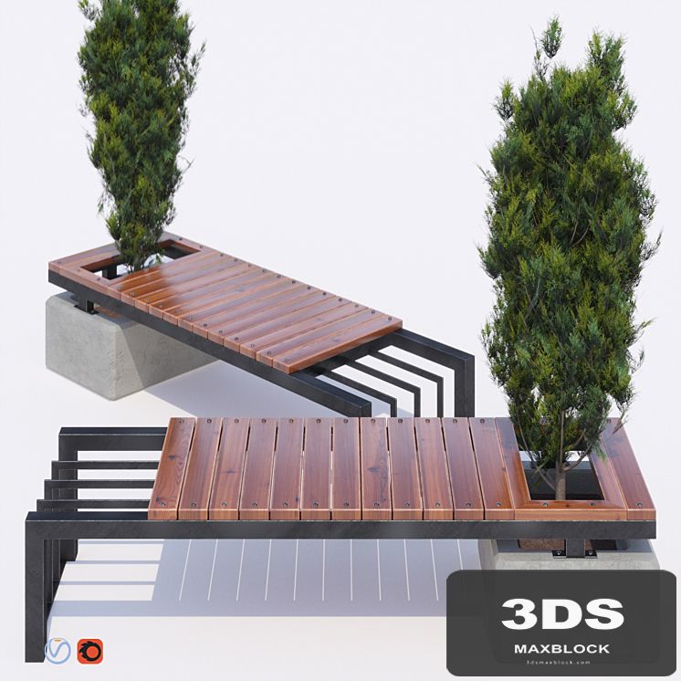 bench and thuja