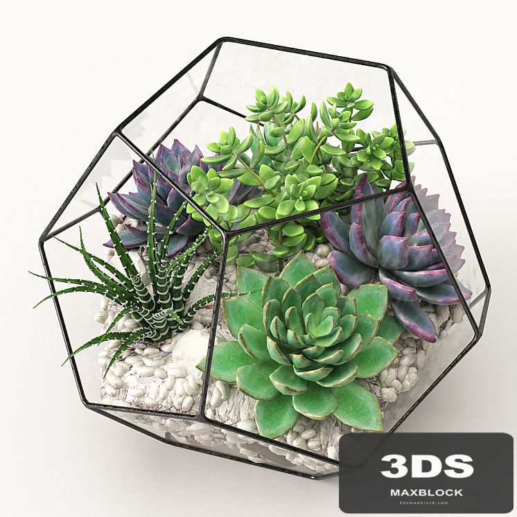 Florarium (Competition)