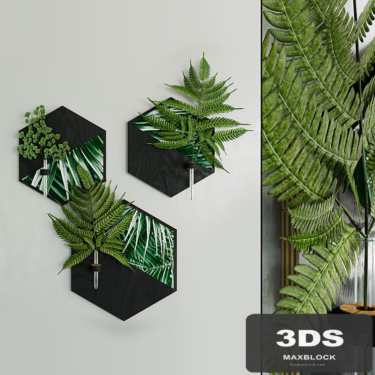Hexagon plant hanger with fern sprigs by WoodaHome