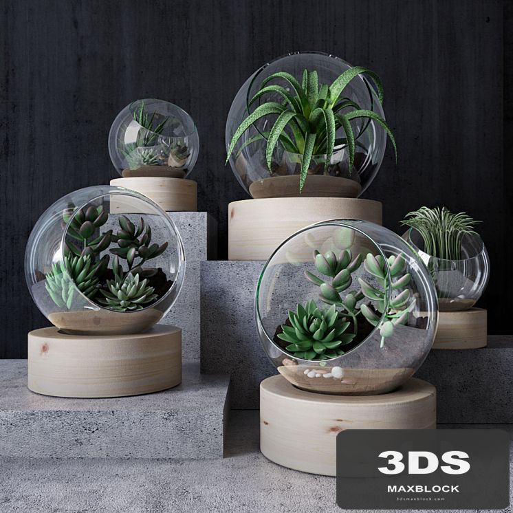 Florarium