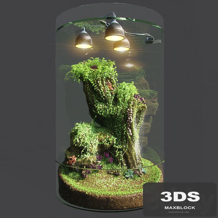 Dwarf Florarium