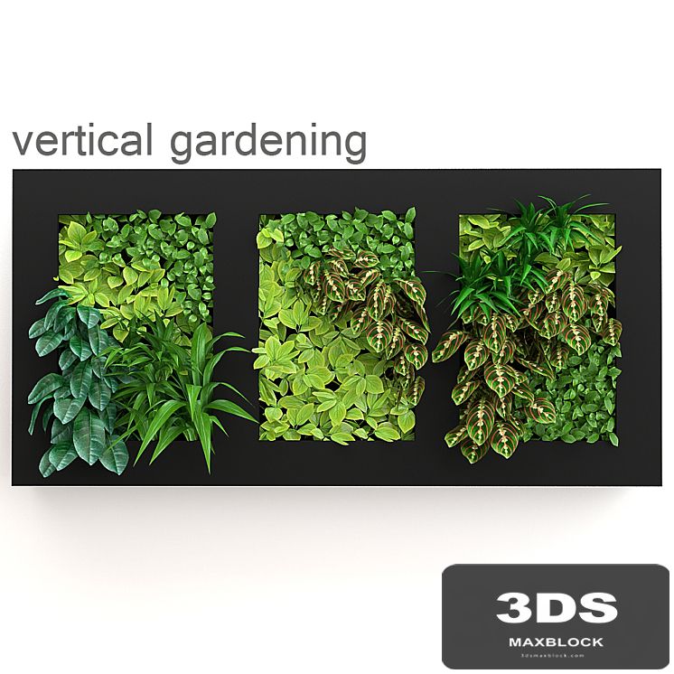 Vertical gardening