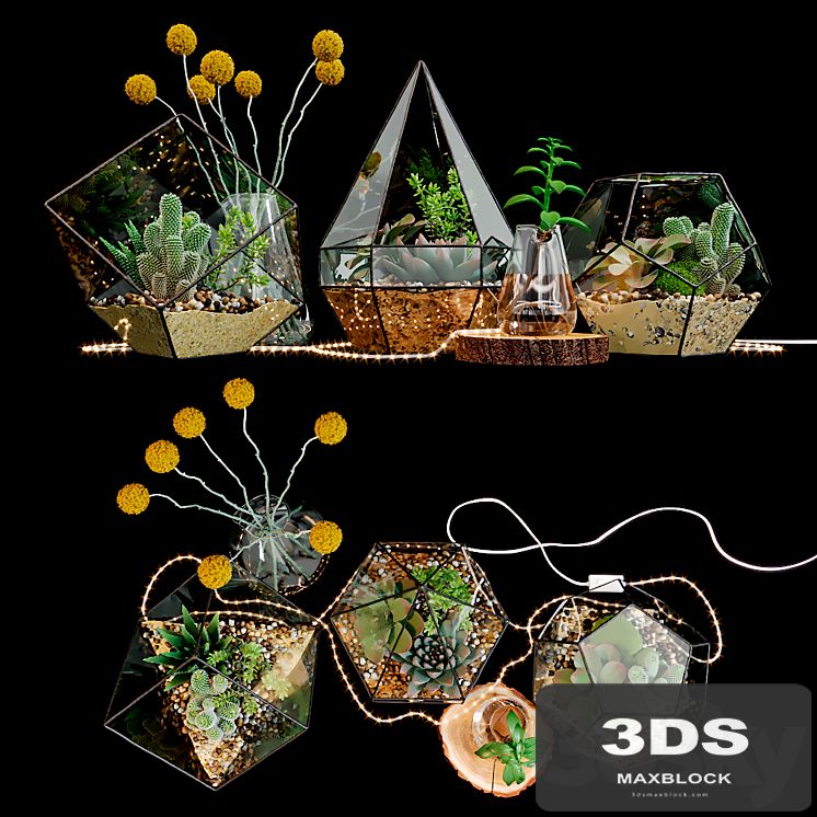 Set of florariums