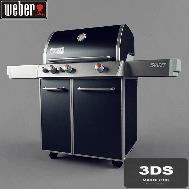 WEBER SPIRIT