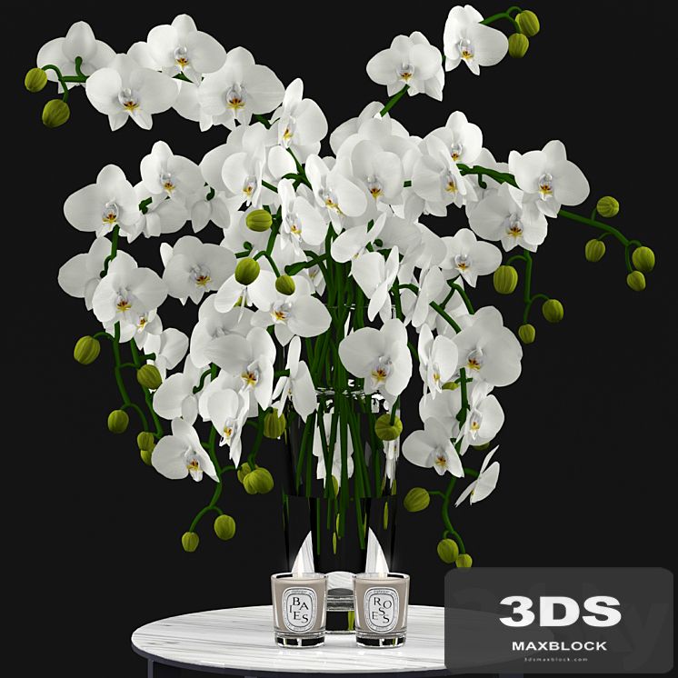 White Orchids and Candles