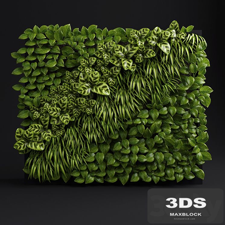 Green wall 2