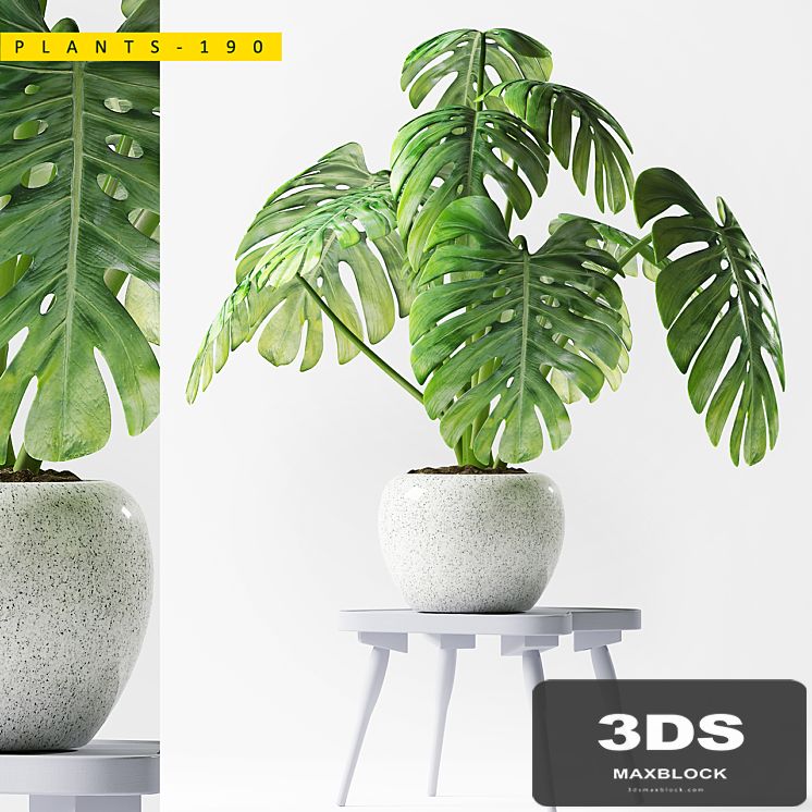 PLANTS 190