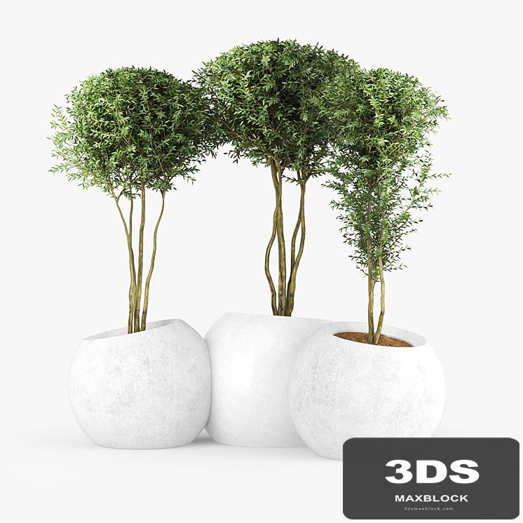 LT CONCRETE PLANTER / ROUND / MODULAR / CONTEMPORARY ESFERA BY EMILIANA DESIGN