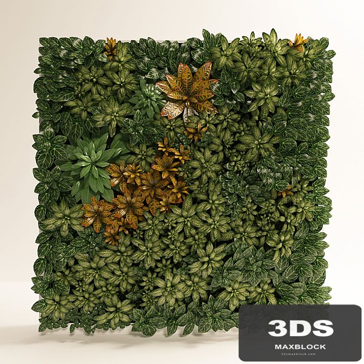 Fitostena, fitomodul of tropical plants