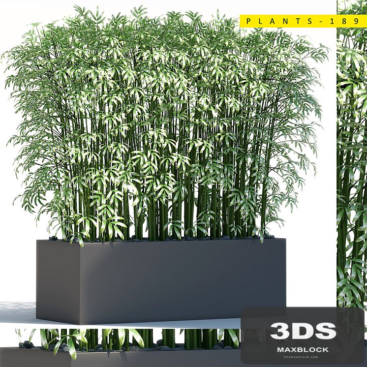 Plants 189