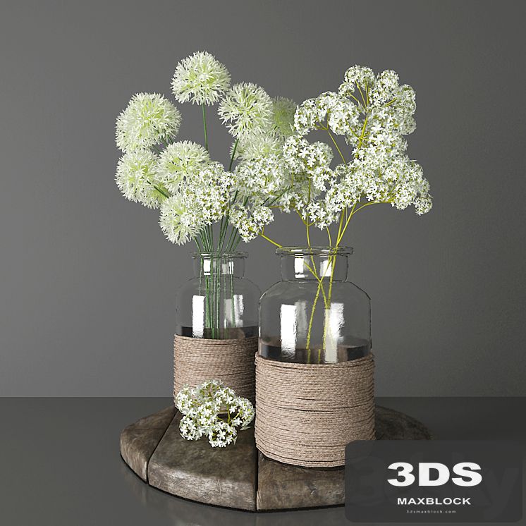 Bouquets 2 - decorative onions and gypsophila