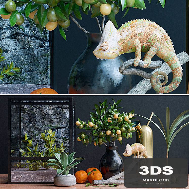 Decorative set, chameleon