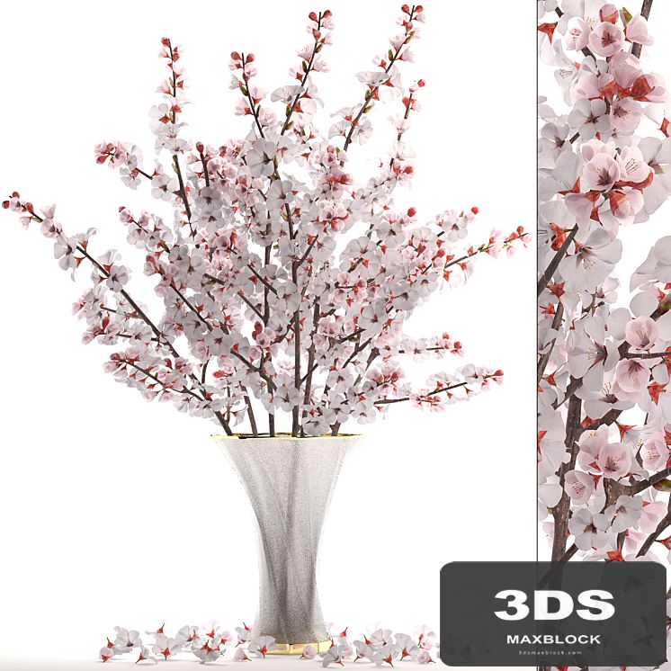 Bouquet of white flowers 24.Bouquet of cherry blossoms, sakura, branches, vase, decor, white