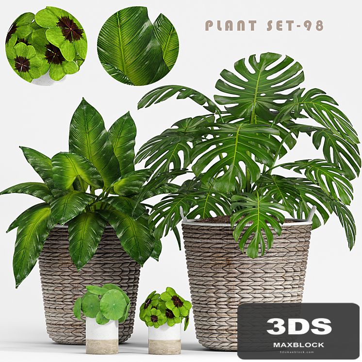 PLANT SET -98