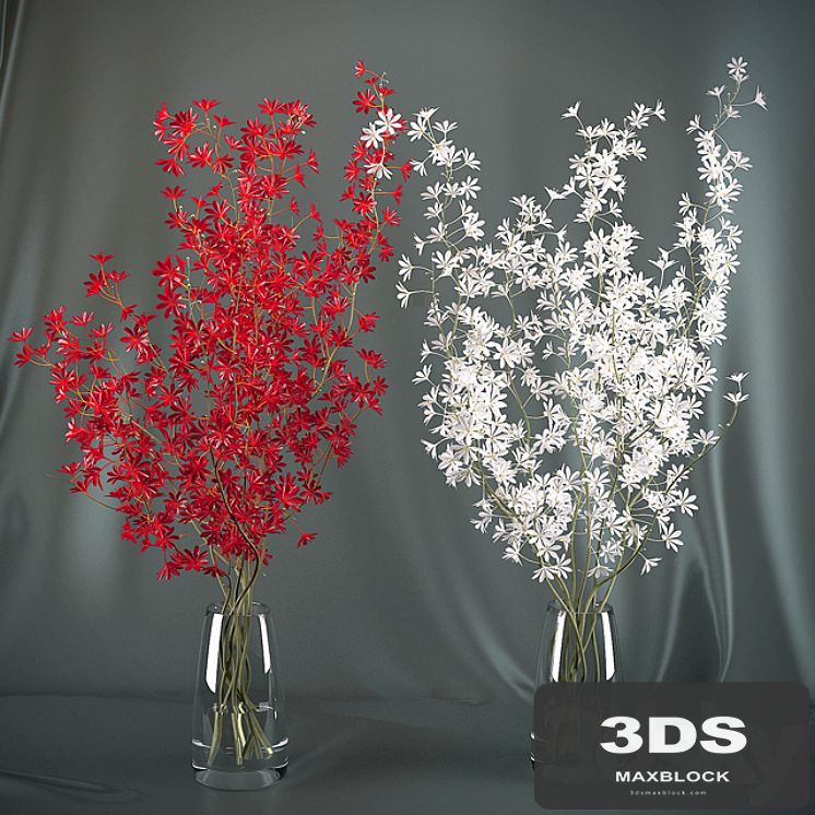 Dendrobium Orchid flowers (red / white)