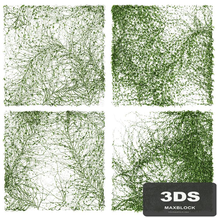 Ivy Wall. 4 models. v2