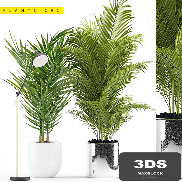 PLANTS 191