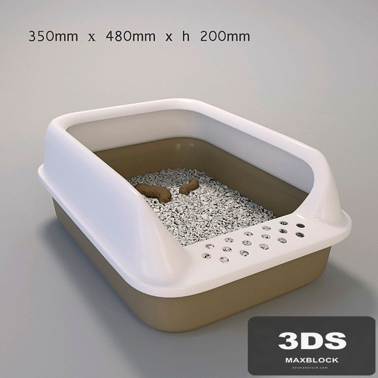 cat toilet