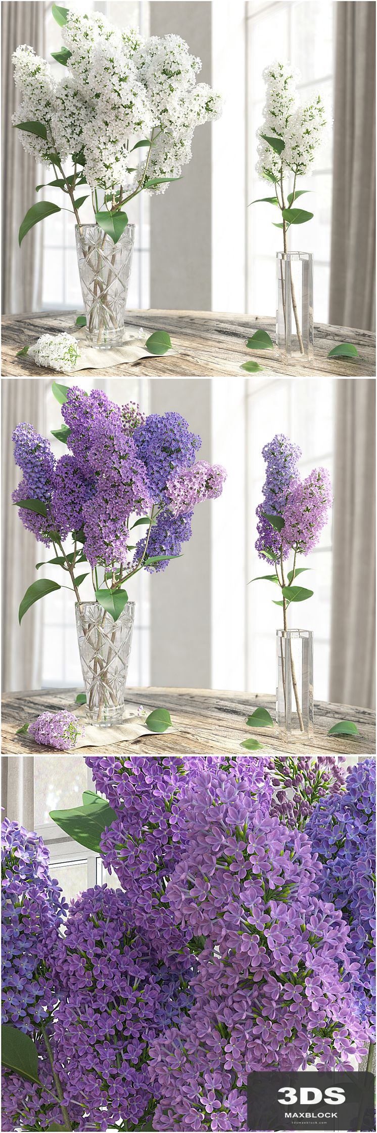 The LILAC / LILAC